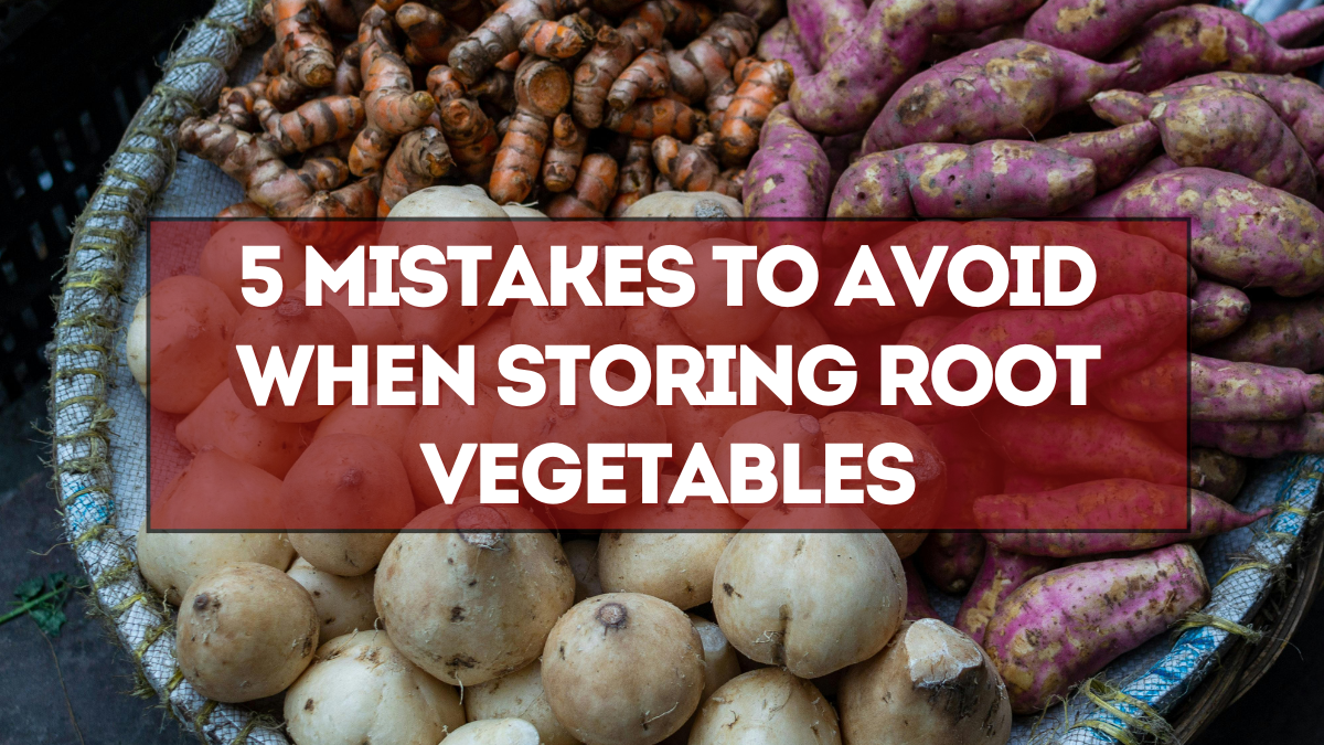 5 Mistakes to Avoid When Storing Root Vegetables (So They Last)