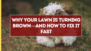 How to Make Your Own Compost Bin at Home (No-Smell, Low-Cost)