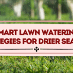 Smart Lawn Watering Strategies for Drier Seasons