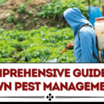 Comprehensive Guide to Lawn Pest Management