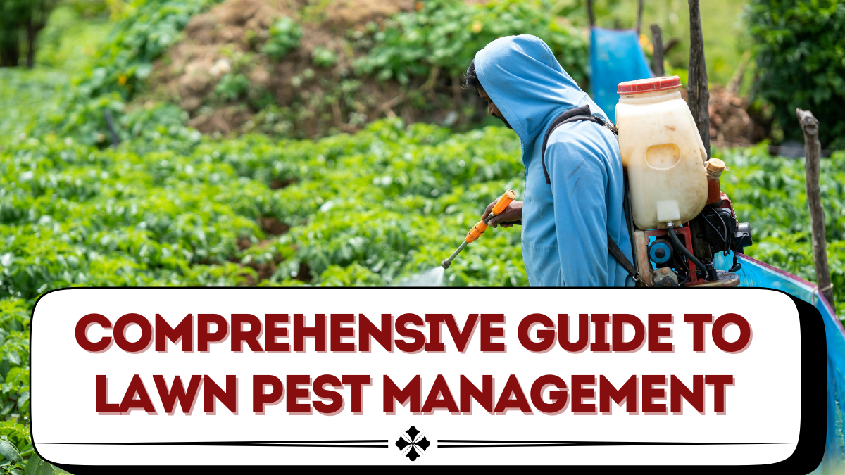 Comprehensive Guide to Lawn Pest Management