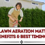 Why Lawn Aeration Matters: Benefits & Best Timing
