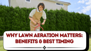 Why Lawn Aeration Matters: Benefits & Best Timing