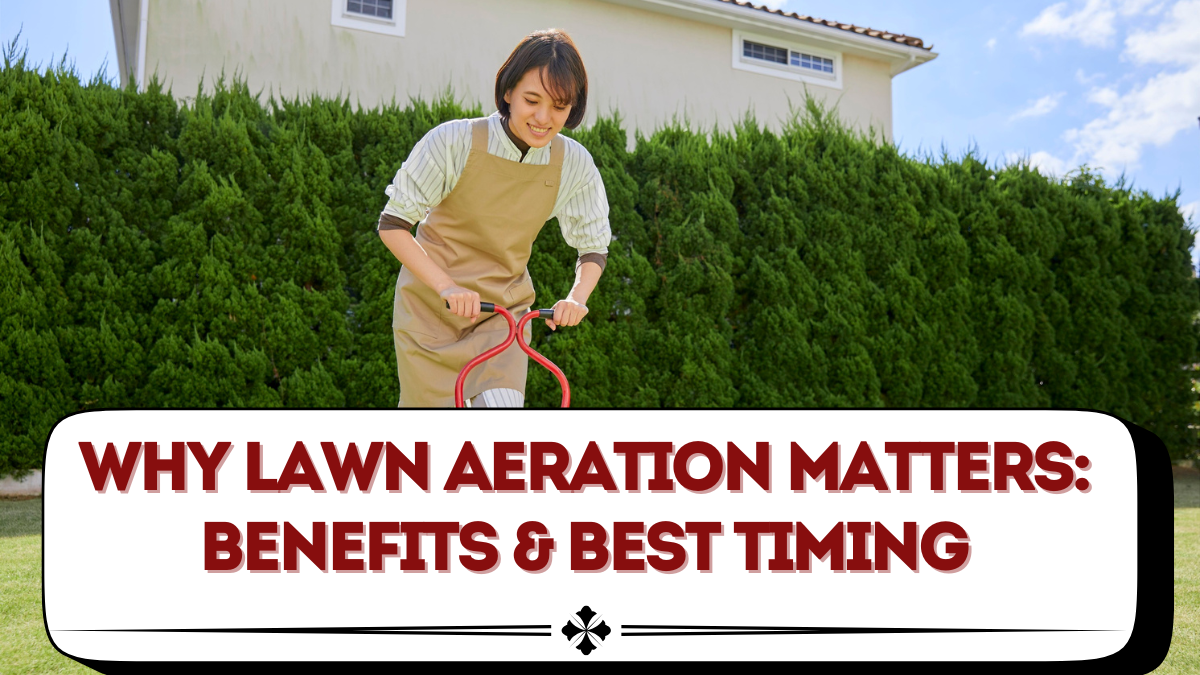 Why Lawn Aeration Matters: Benefits & Best Timing