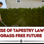 The Rise of Tapestry Lawns: A Grass-Free Future
