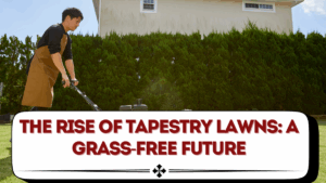 The Rise of Tapestry Lawns: A Grass-Free Future
