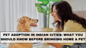 Pet Adoption in Indian Cities: What You Should Know Before Bringing Home a Pet