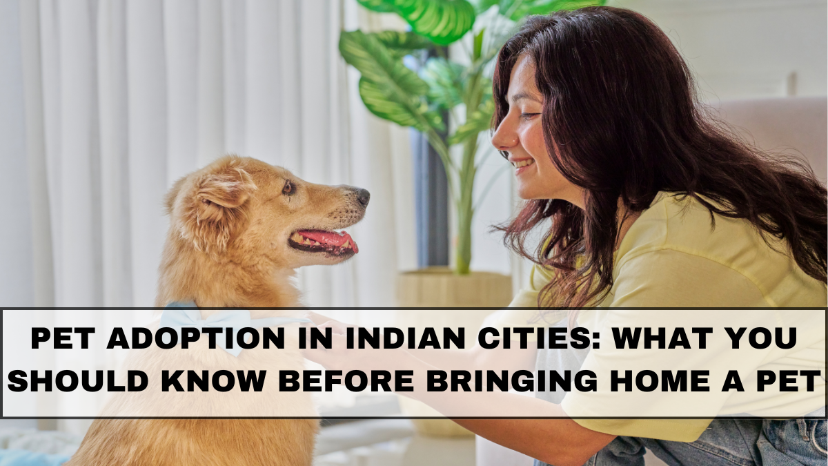 Pet Adoption in Indian Cities: What You Should Know Before Bringing Home a Pet