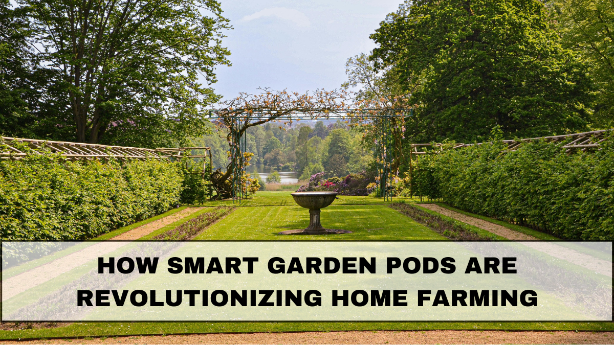 How Smart Garden Pods Are Revolutionizing Home Farming