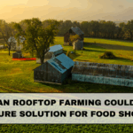 Why Urban Rooftop Farming Could Become the Future Solution for Food Shortages