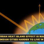 The Urban Heat Island Effect Is Making Indian Cities Harder to Live In