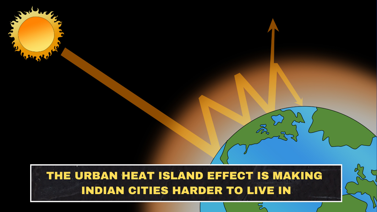 The Urban Heat Island Effect Is Making Indian Cities Harder to Live In