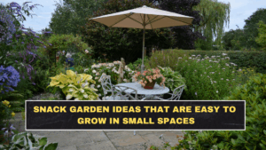 Snack Garden Ideas That Are Easy to Grow in Small Spaces