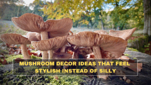 Mushroom Decor Ideas That Feel Stylish Instead of Silly