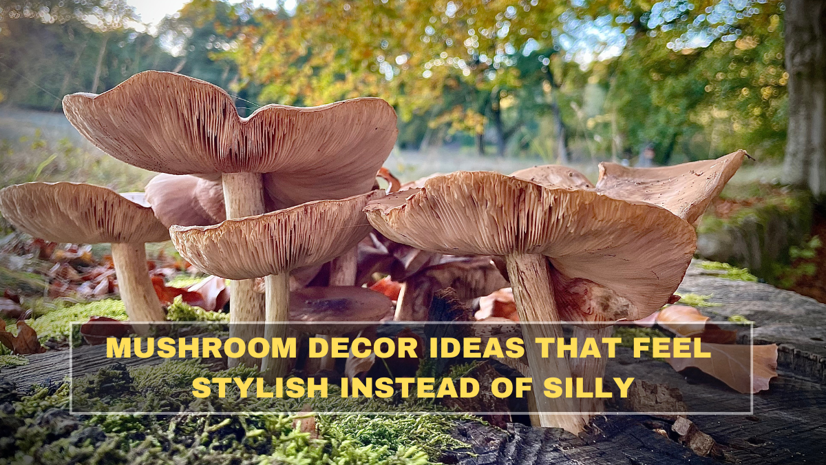 Mushroom Decor Ideas That Feel Stylish Instead of Silly